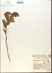 000013855-thumbnail.jpg