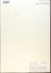 000013856-thumbnail.jpg