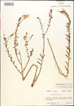 000013870-thumbnail.jpg