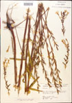 000013872-thumbnail.jpg