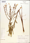 000013874-thumbnail.jpg