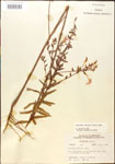000013875-thumbnail.jpg