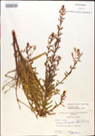 000013876-thumbnail.jpg