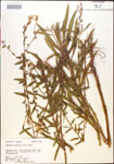 000013880-thumbnail.jpg