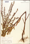 000013882-thumbnail.jpg