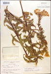 000013904-thumbnail.jpg