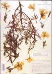 000013906-thumbnail.jpg