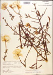 000013908-thumbnail.jpg