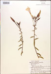 000013909-thumbnail.jpg