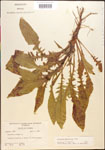 000013910-thumbnail.jpg