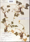 000013945-thumbnail.jpg