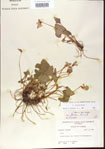 000013947-thumbnail.jpg