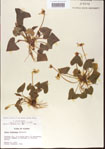 000013948-thumbnail.jpg