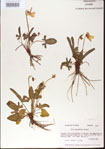 000013961-thumbnail.jpg