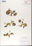000013983-thumbnail.jpg