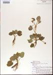 000013984-thumbnail.jpg