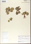 000013985-thumbnail.jpg