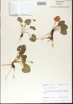 000013986-thumbnail.jpg