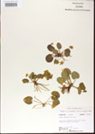 000013987-thumbnail.jpg