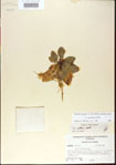 000013988-thumbnail.jpg
