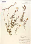 000014284-thumbnail.jpg