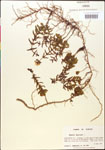 000014285-thumbnail.jpg