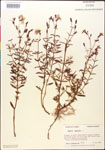 000014286-thumbnail.jpg