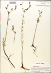 000014287-thumbnail.jpg