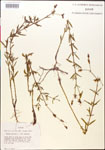 000014288-thumbnail.jpg
