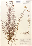000014290-thumbnail.jpg