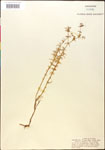 000014291-thumbnail.jpg