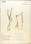 000014292-thumbnail.jpg