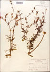 000014294-thumbnail.jpg