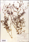 000014295-thumbnail.jpg