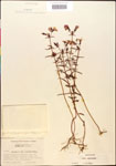 000014297-thumbnail.jpg