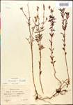 000014298-thumbnail.jpg