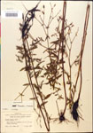 000014299-thumbnail.jpg