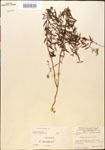 000014300-thumbnail.jpg