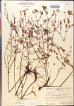 000014301-thumbnail.jpg