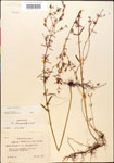 000014302-thumbnail.jpg