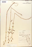 000014303-thumbnail.jpg