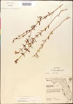 000014304-thumbnail.jpg