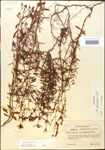 000014305-thumbnail.jpg