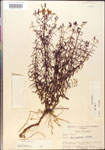 000014306-thumbnail.jpg
