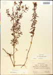 000014307-thumbnail.jpg
