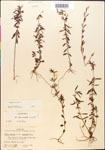 000014308-thumbnail.jpg