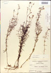 000014309-thumbnail.jpg