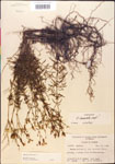 000014310-thumbnail.jpg