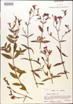 000014311-thumbnail.jpg