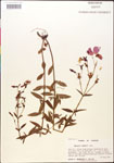 000014312-thumbnail.jpg